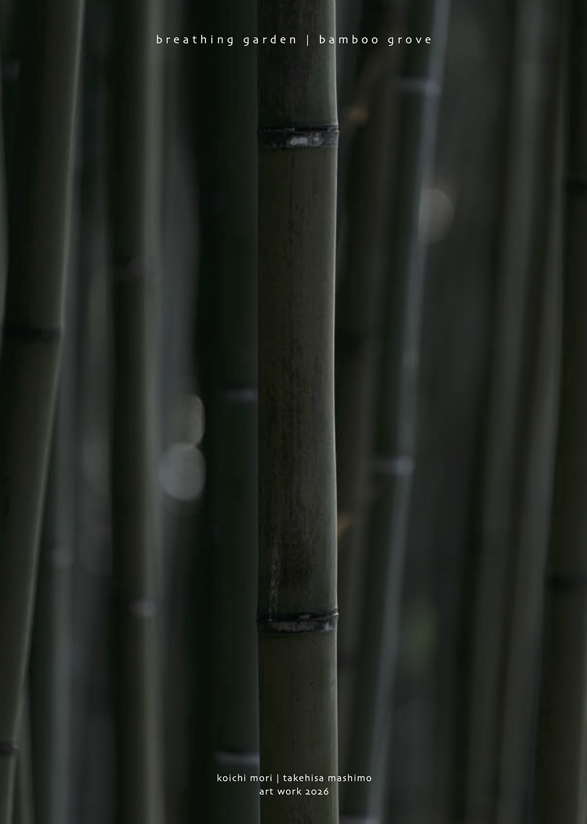 呼吸する庭 竹林 breathing garden | bamboo grove